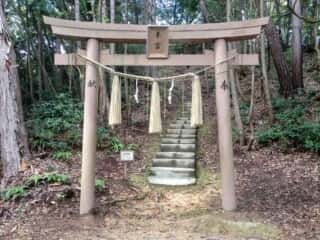 石上布都魂神社　本宮鳥居