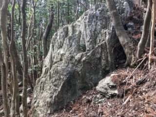 若杉山遺跡の巨石群