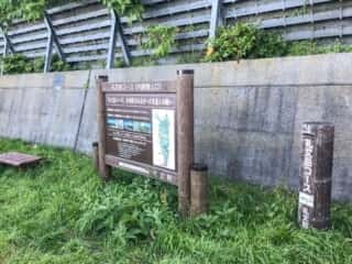 礼文岳登山道