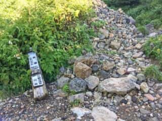 観光新道登山道　