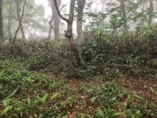 恐山 (大尽山) 登山道