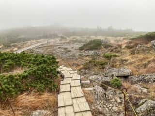 早池峰山 登山道