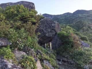 観光新道登山道