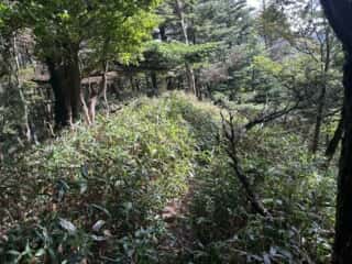 矢筈山・石堂山