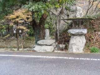 剣山スーパー林道