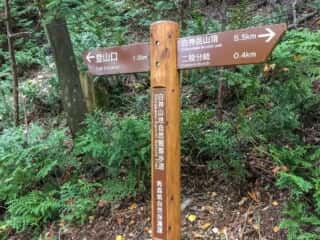 白神岳登山道