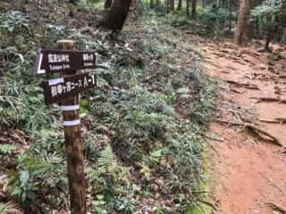 筑波山登山道