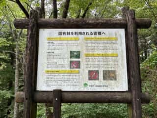 白髪山・平和丸