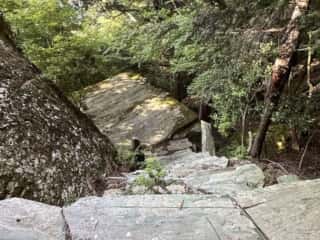 天磐戸神社