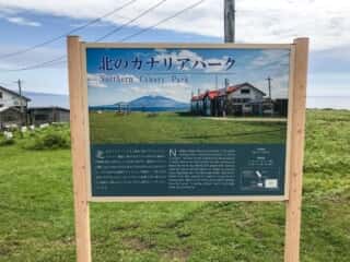 北のカナリアパーク