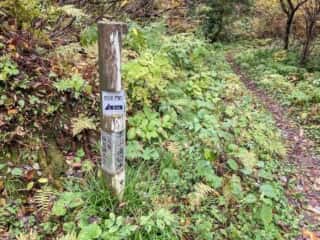 真山登山道