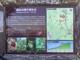 大山登山道