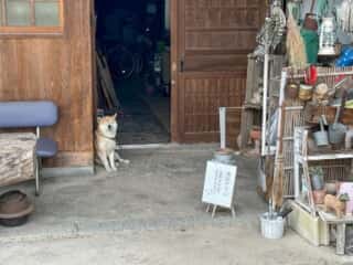 四国八十八ヶ所霊場 第63番札所 吉祥寺