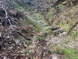 四国八十八ヶ所霊場 第11番札所 藤井寺〜第12番札所 焼山寺