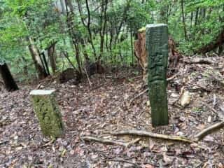四国八十八ヶ所霊場 第11番札所 藤井寺〜第12番札所 焼山寺