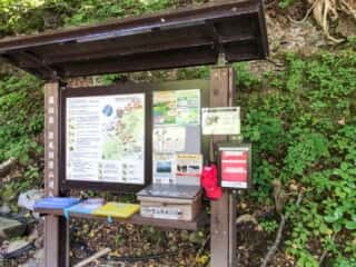 羅臼岳登山道