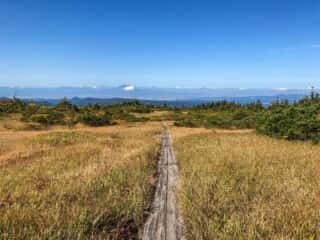 八甲田山 登山道