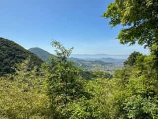 四国八十八ヶ所霊場 第71番札所 弥谷寺