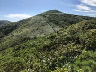 礼文岳登山道からの展望