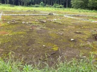 伊勢堂岱遺跡 環状列石（ストーンサークル）
