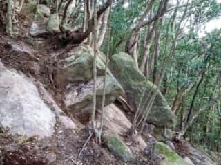 ビシャゴ磯 裏山の巨石群