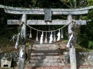 守屋神社　鳥居