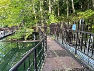 雄阿寒岳