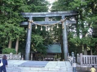 諏訪大社上社本宮　鳥居