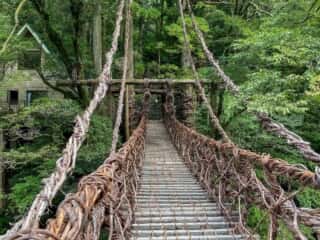 祖谷のかずら橋　橋上の景観