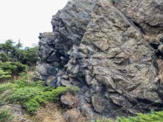 中岳登山道