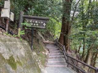 祖谷のかずら橋入口