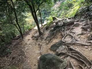 筑波山登山道