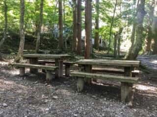 大山登山道