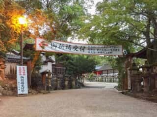 春日大社の参道