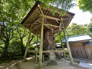 四国八十八ヶ所霊場 第82番札所 根香寺