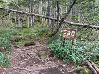雄阿寒岳