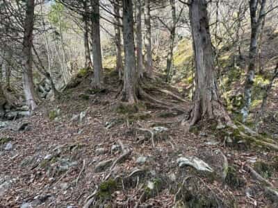 黒笠山