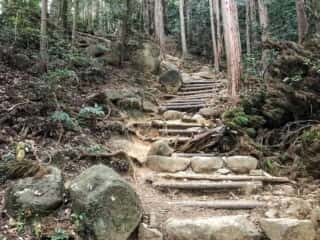 筑波山登山道