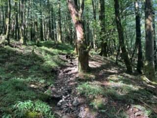 塔丸