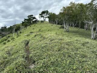 赤帽子山・中尾山