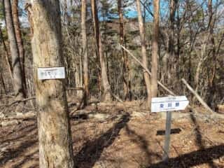 石投山 黒森山 登山道