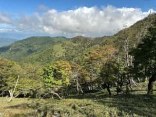 矢筈山・石堂山