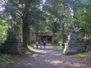 戸隠神社　参道