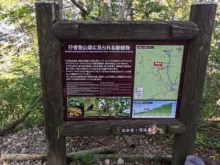 大山登山道