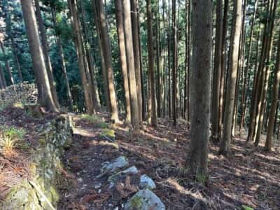 黒笠山