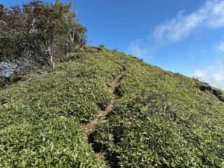 矢筈山・石堂山