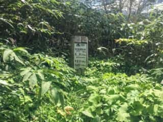 砂防新道 登山道