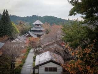 金峯山寺