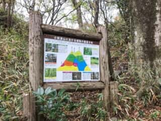 筑波山における植物の垂直分布