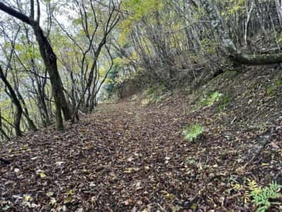 土佐矢筈山・小桧曽山